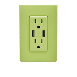 granny smith apple